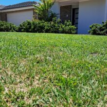 lawn mowing Googong,